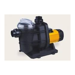 Single-stage centrifugal pool pump