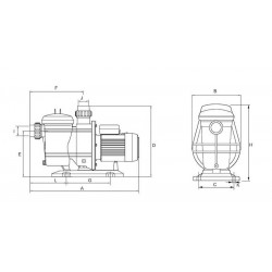 Single-stage centrifugal pool pump