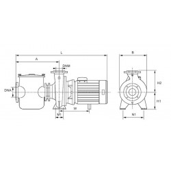 Centrifugal pool pumps