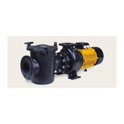 Centrifugal pool pumps