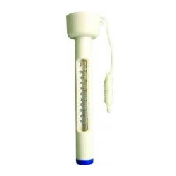 Hanging Water Thermometer