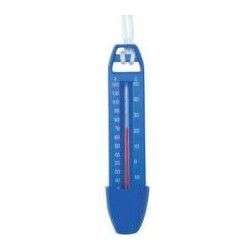 Economy Thermometer